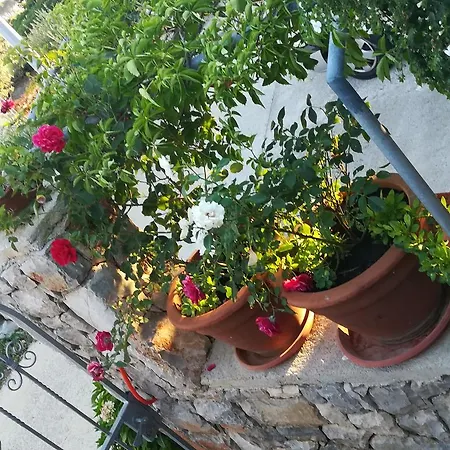 Apartment Neno - Terrace & Parking