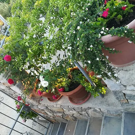 Neno - Terrace & Parking Apartment *