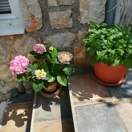 Appartamento Neno - Terrace & Parking Lussingrande