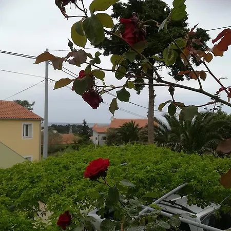 Neno - Terrace & Parking Apartment Veli Losinj