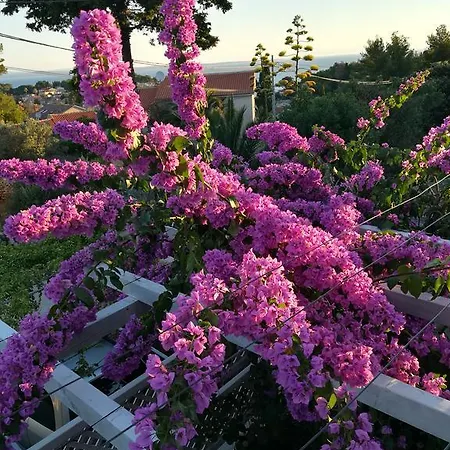 Neno - Terrace & Parking Veli Lošinj