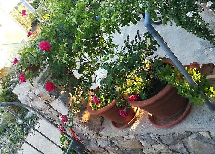 Apartament Neno - Terrace & Parking