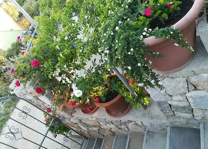 Neno - Terrace & Parking Apartament *