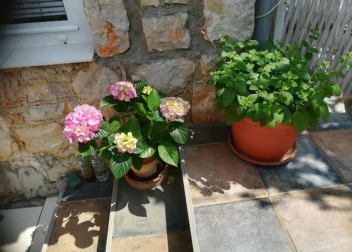 公寓 Neno - Terrace & Parking Veli Lošinj