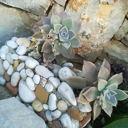 Neno - Terrace & Parking Apartman *