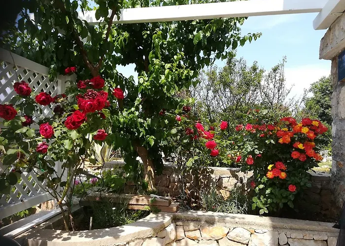 Neno - Terrace & Parking Veli Lošinj